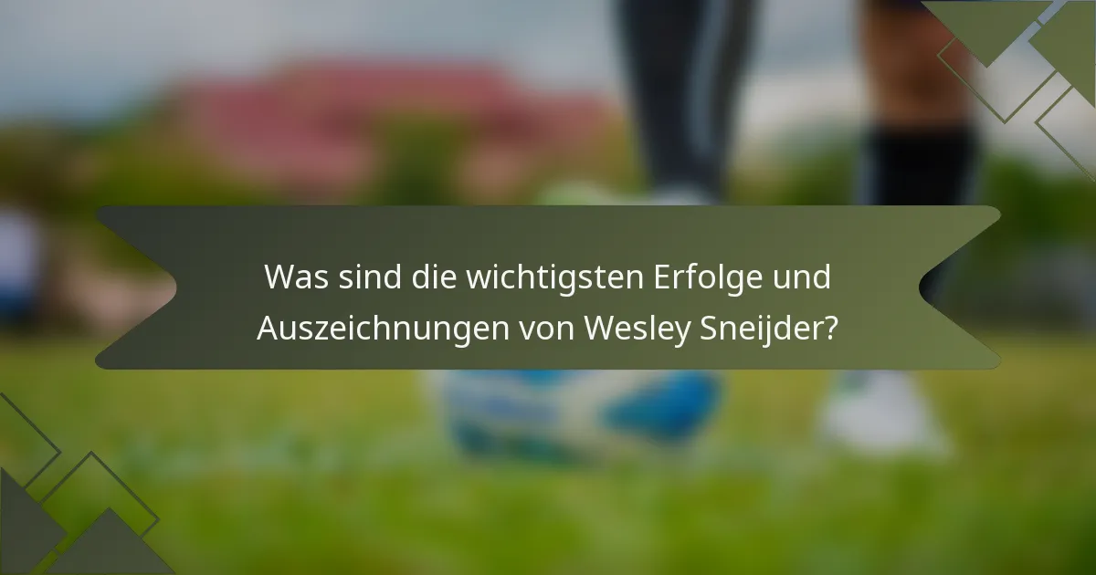 Was sind die wichtigsten Erfolge und Auszeichnungen von Wesley Sneijder?