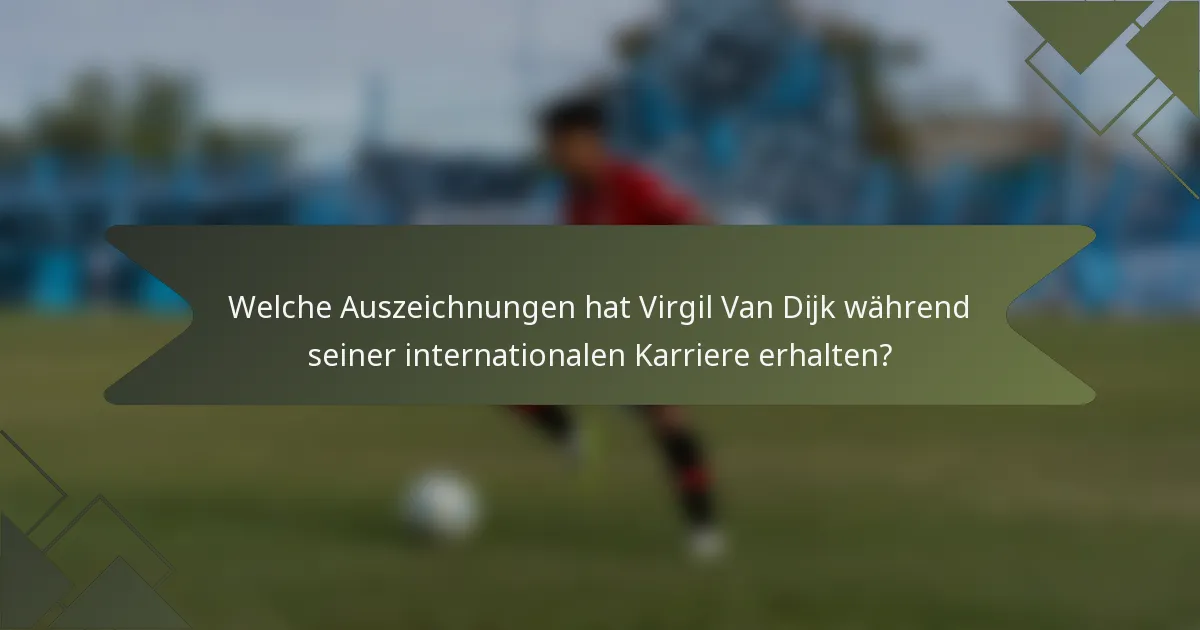 Welche Auszeichnungen hat Virgil Van Dijk während seiner internationalen Karriere erhalten?