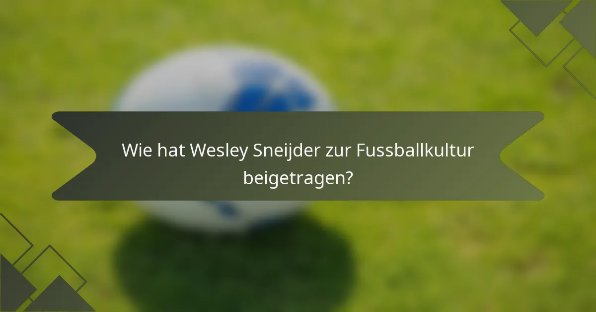 Wie hat Wesley Sneijder zur Fussballkultur beigetragen?