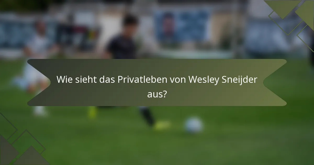 Wie sieht das Privatleben von Wesley Sneijder aus?